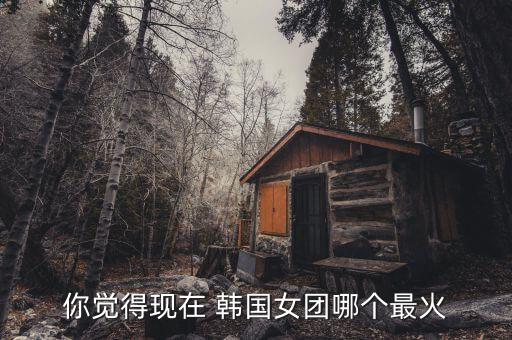 你觉得现在 韩国女团哪个最火