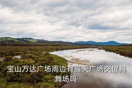  宝山万达广场周边有露天广场交谊舞舞场吗