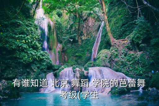北京舞蹈学院 沂蒙红色,沂蒙ode"芭蕾女生