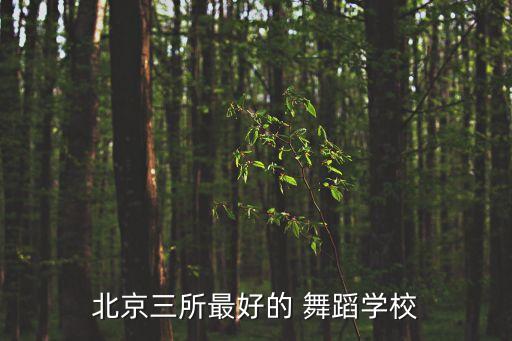 北京三所最好的 舞蹈学校