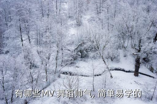 有哪些MV 舞蹈帅气, 简单易学的