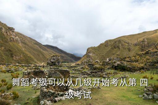  舞蹈考级可以从几级开始考从第 四级考试