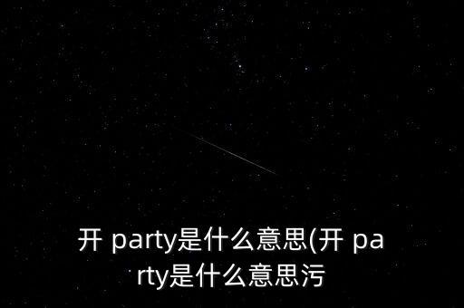 开 party是什么意思(开 party是什么意思污