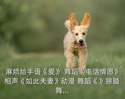 麻烦给手语《爱》 舞蹈《电话情愿》相声《如此夫妻》动漫 舞蹈《》踢踏舞...