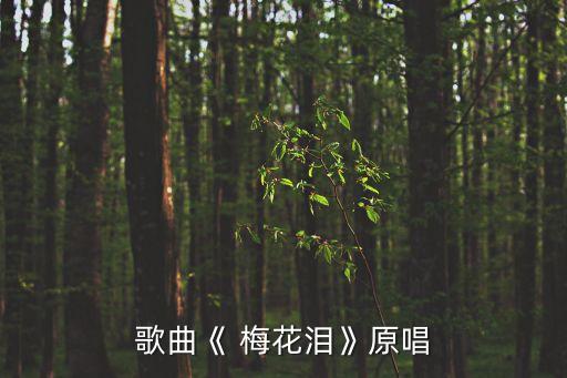 歌曲《 梅花泪》原唱