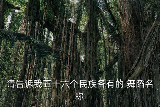 朝族舞蹈鼓舞,中国少数民族传统舞蹈及元宵节活动