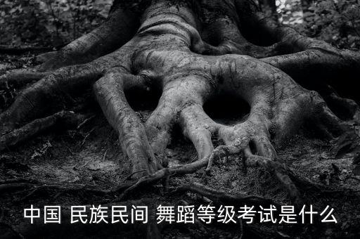 民族舞蹈7级舞蹈,中国民族民间舞蹈等级考试开始报名