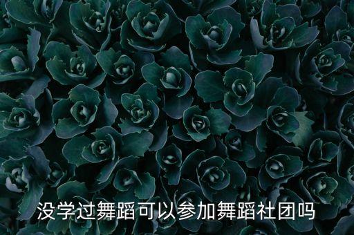 学校的舞蹈团好吗,舞蹈团将与业内艺术家展开长期合作