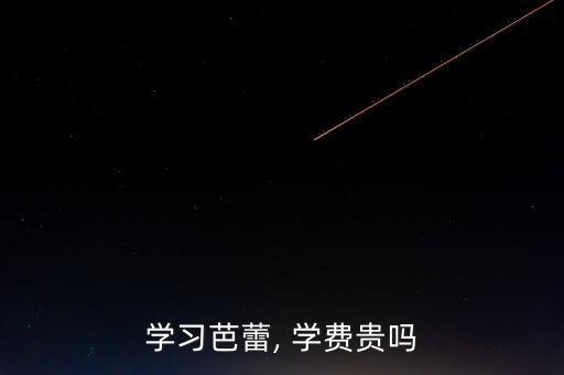学习芭蕾, 学费贵吗