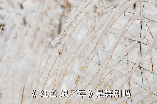 获奖舞蹈红色娘子军,芭蕾舞剧红色娘子军改编自同名电影