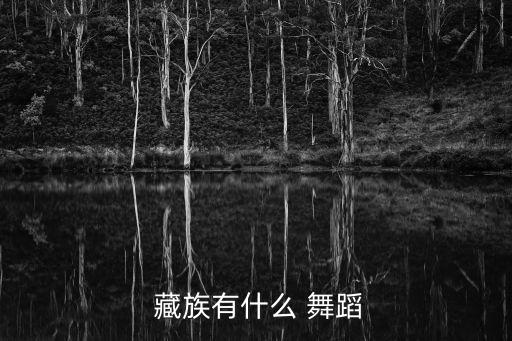  藏族有什么 舞蹈