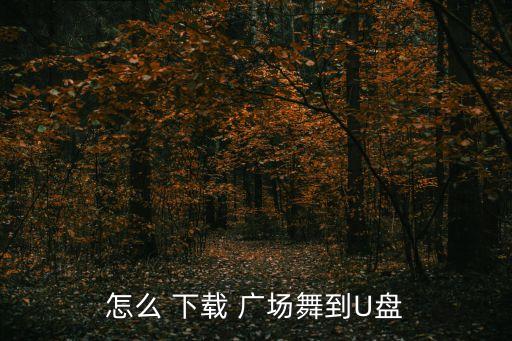 怎么 下载 广场舞到U盘