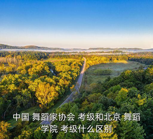 中国 舞蹈家协会 考级和北京 舞蹈学院 考级什么区别