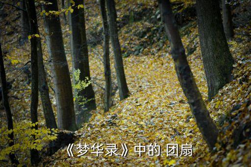 团扇舞舞蹈,中国民间舞蹈家协会主席林瑞莲教授接受专访