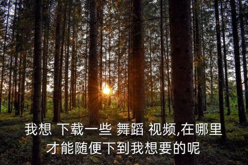 四年半舞蹈视频教学视频下载,如何下载和播放舞蹈视频?