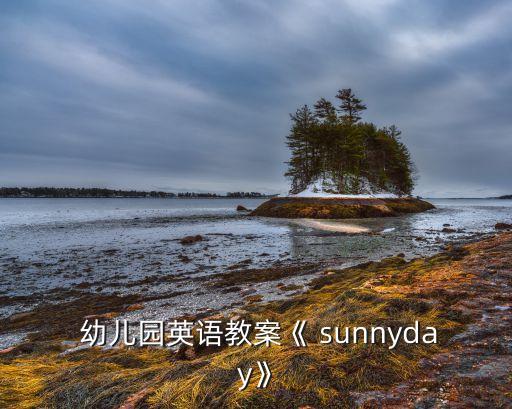 sunny幼儿舞蹈教学视频,少女时代sm练习生英语教案