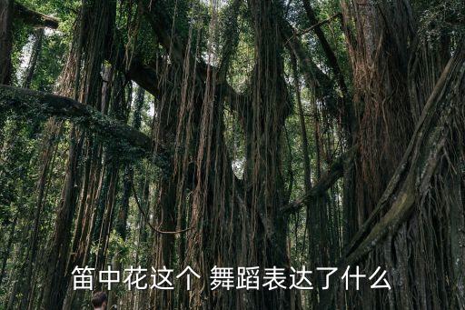 笛中花这个 舞蹈表达了什么