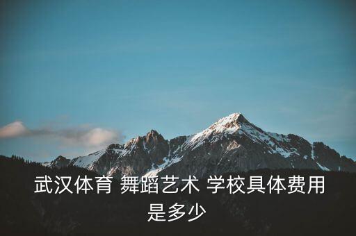  武汉体育 舞蹈艺术 学校具体费用是多少