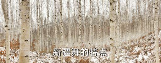 新疆舞的特点