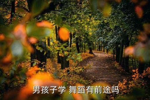  男孩子学 舞蹈有前途吗