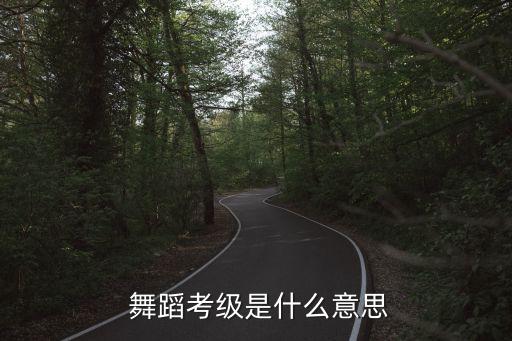  舞蹈考级是什么意思
