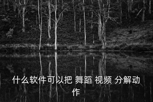 什么软件可以把 舞蹈 视频 分解动作