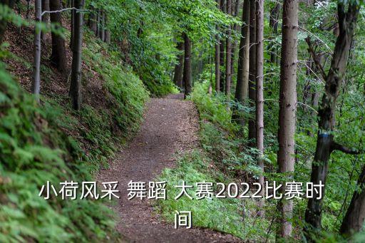 小荷风采 舞蹈 大赛2022比赛时间