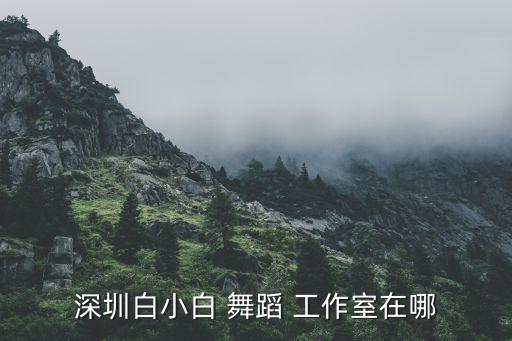 深圳白小白 舞蹈 工作室在哪