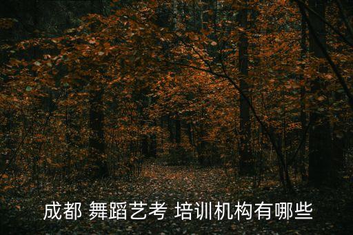成都空中舞蹈培训,成都舞蹈学校很多学生舞蹈培训学校