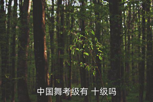 中国舞考级有 十级吗