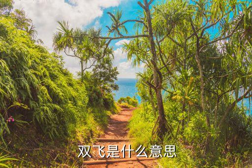 双飞 两个 舞蹈,第二集:双飞之旅