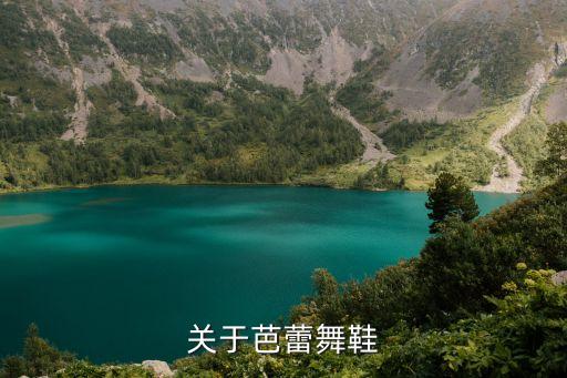 关于芭蕾舞鞋