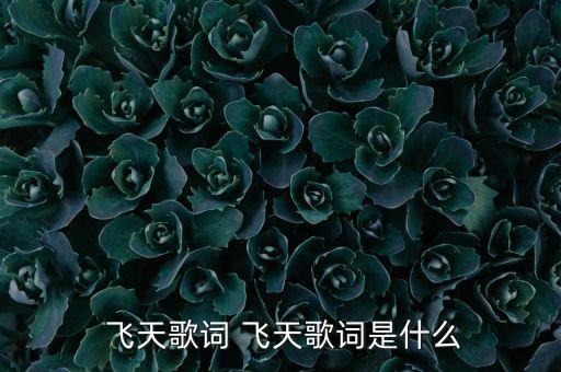 大漠飞天舞蹈,中国歌曲飞天获中国音乐大赛金奖
