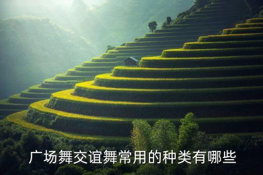  广场舞交谊舞常用的种类有哪些