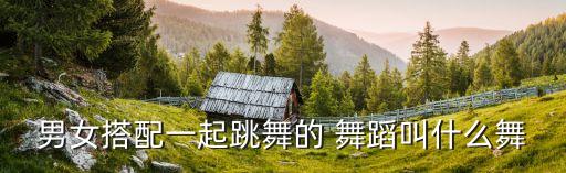 舞蹈双人舞图片,舞剧或大型双人舞蹈塑造人物揭示其内心世界
