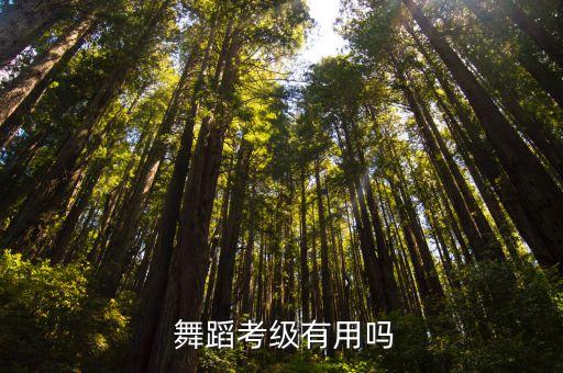  舞蹈考级有用吗