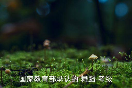 国家教育部承认的 舞蹈 考级