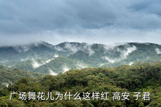广场舞花儿为什么这样红 高安 子君