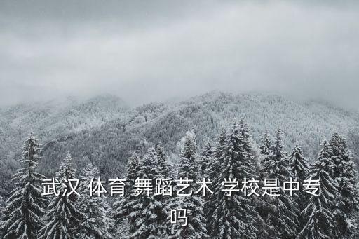  武汉 体育 舞蹈艺术 学校是中专吗