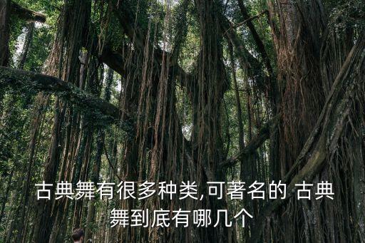 古典舞蹈的名字,《踏歌》展现中国古典舞蹈魅力