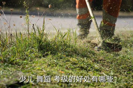 少儿 舞蹈 考级的好处有哪些