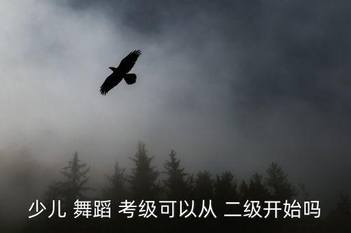 少儿 舞蹈 考级可以从 二级开始吗