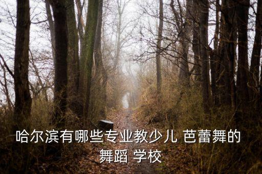 哈尔滨有哪些专业教少儿 芭蕾舞的 舞蹈 学校