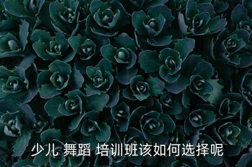  少儿 舞蹈 培训班该如何选择呢