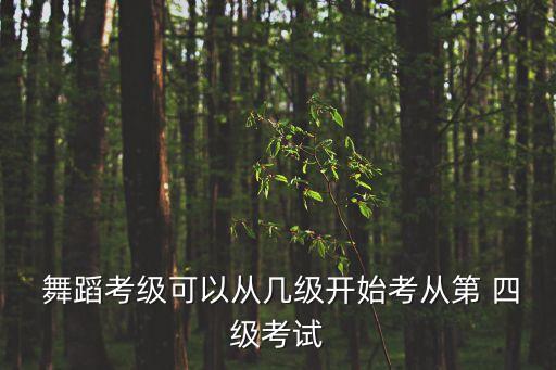  舞蹈考级可以从几级开始考从第 四级考试