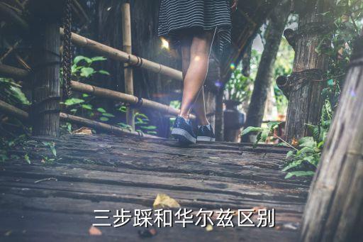 三步踩舞蹈是什么,华尔兹的舞步