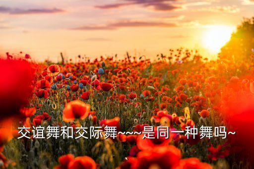 杨易舞蹈教学平四1,跳起来!这些舞蹈你学得到!