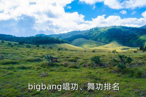 bigbang舞蹈歌曲,选票结果出炉!选手心情笔记本届大选