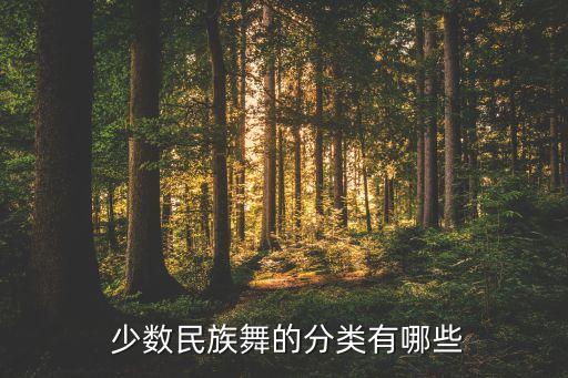  少数民族舞的分类有哪些