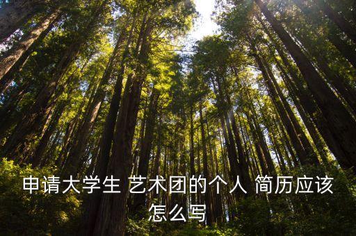申请大学生 艺术团的个人 简历应该怎么写